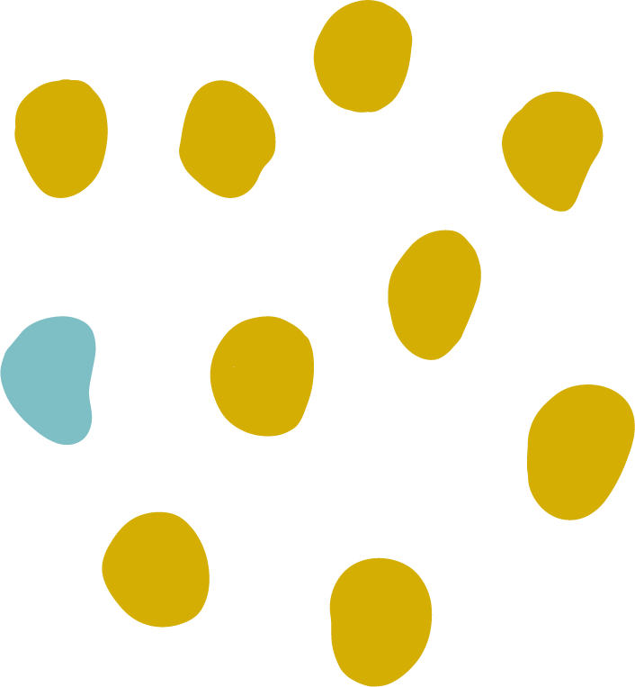 Evolve Assets - freeform 5
