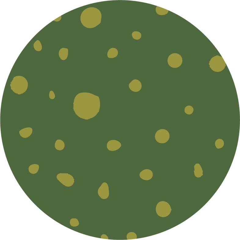 Evolve Assets - round 4